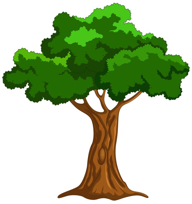 صورة توضيحية