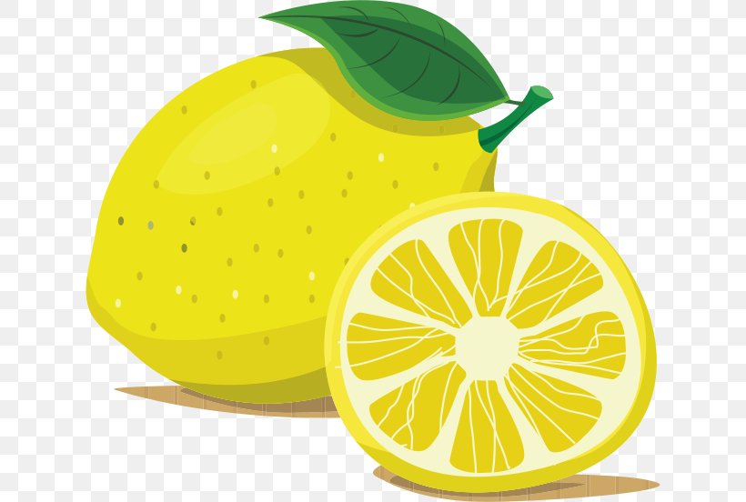 صورة توضيحية